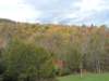 gorgeouscolorsoverthemountain_small.jpg