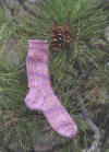 copy_of_lacesockmtn_small.jpg