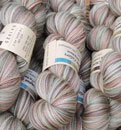 springmarsh_small