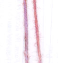 lacemerino_fiber101_small.jpg