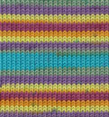 phoenix09_small.jpg