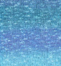 trigato04_small.jpg